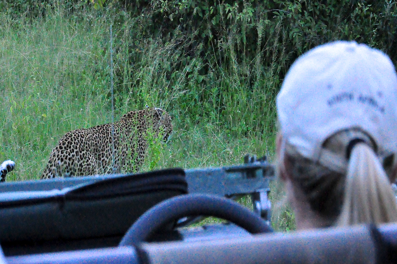 Melanie Heinrich - travel images - Lion Sands Private game reserver Hazyview